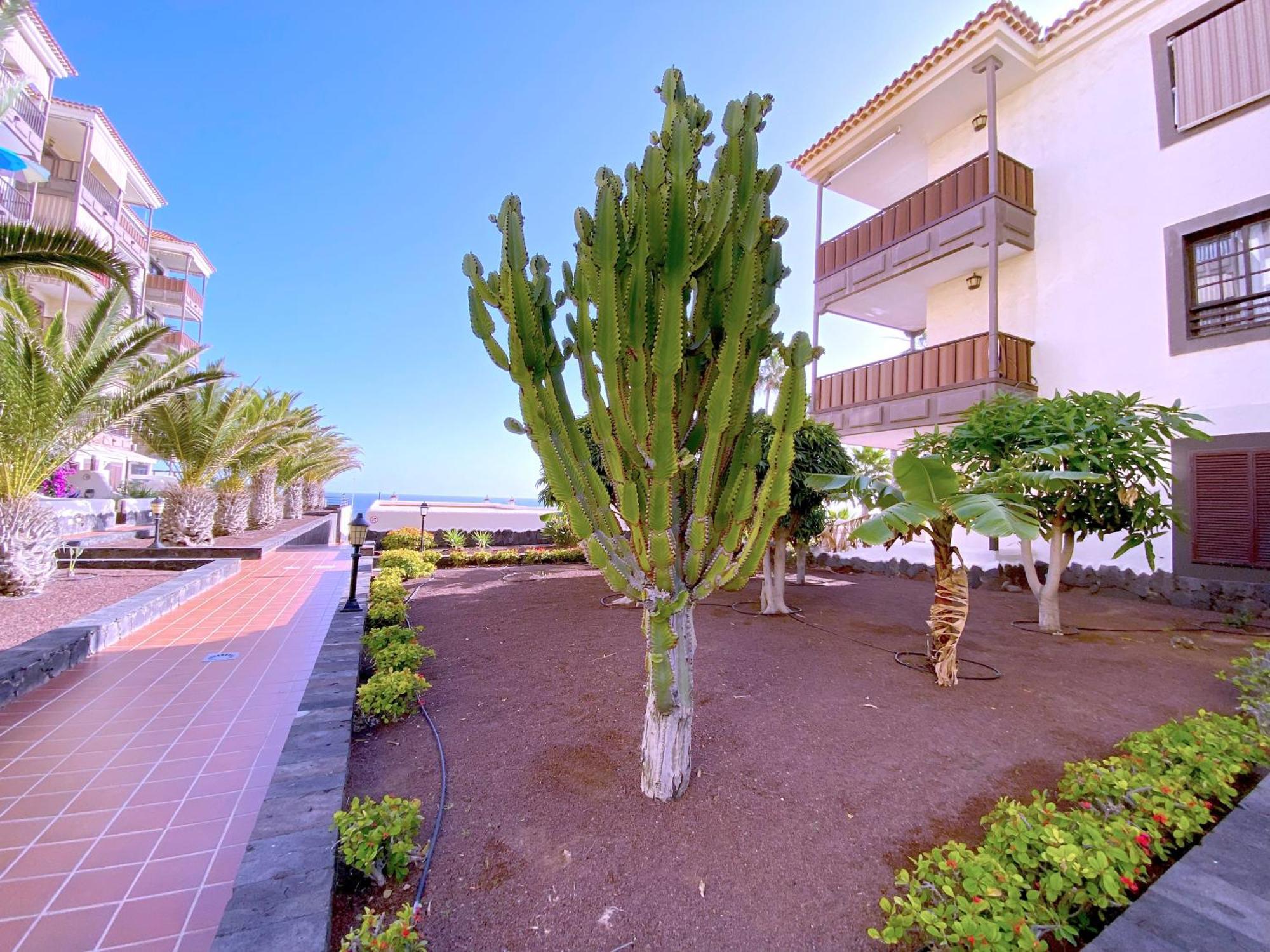 Апартаменти Tropicalidays Costa Mar Коста-дель-Сіленсіо Екстер'єр фото